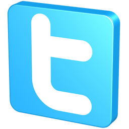 Button Social Twitter Web Wordpress 