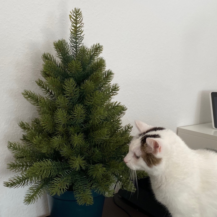 Pe Spritzguss Weihnachtsbaum 5