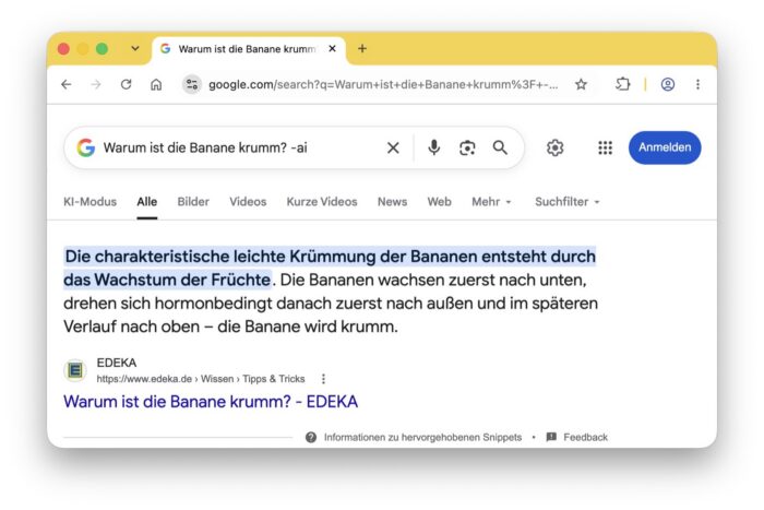 Google Ki Aus